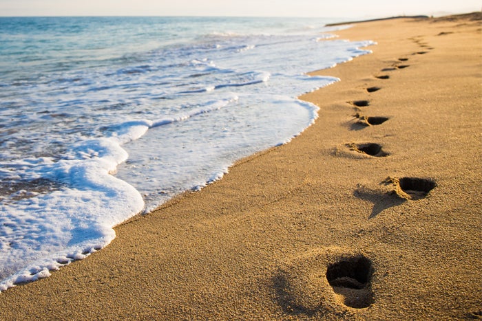 Footsteps in the sand along the ocean