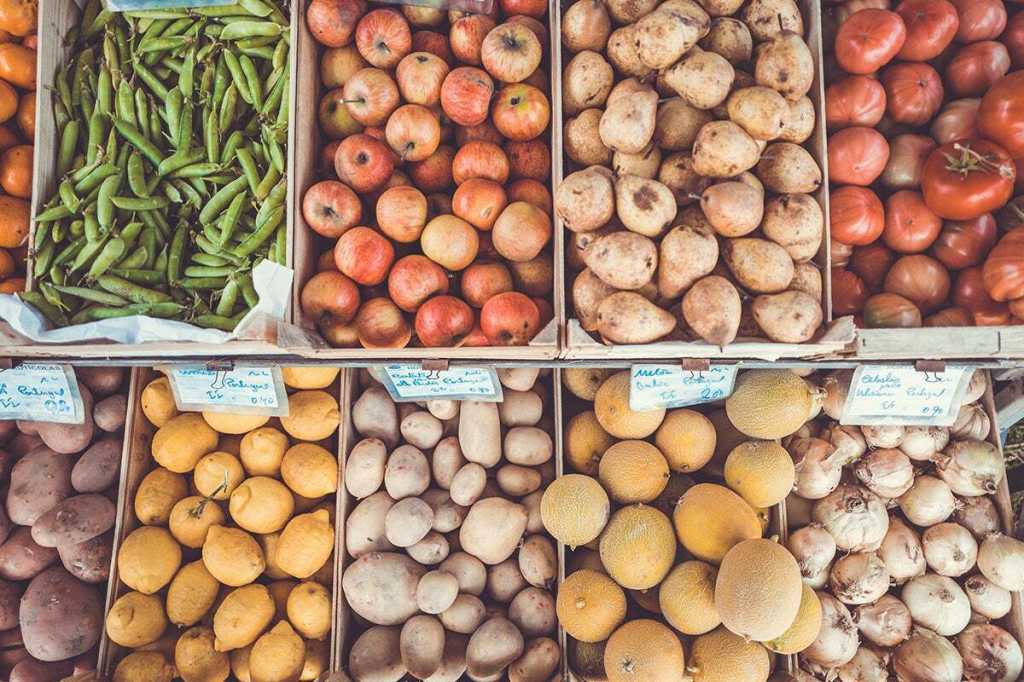 vegetables organized and stored in bins